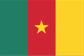 Badge Camerún