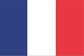 Badge/Flag France 