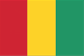 Badge Guinea