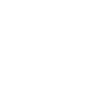 Escudo/Bandera Estudiantes