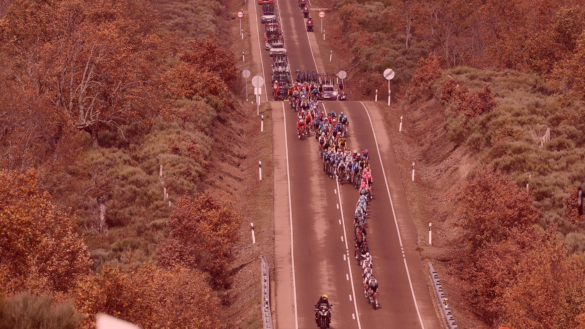 Descripción alternativa de la imagen