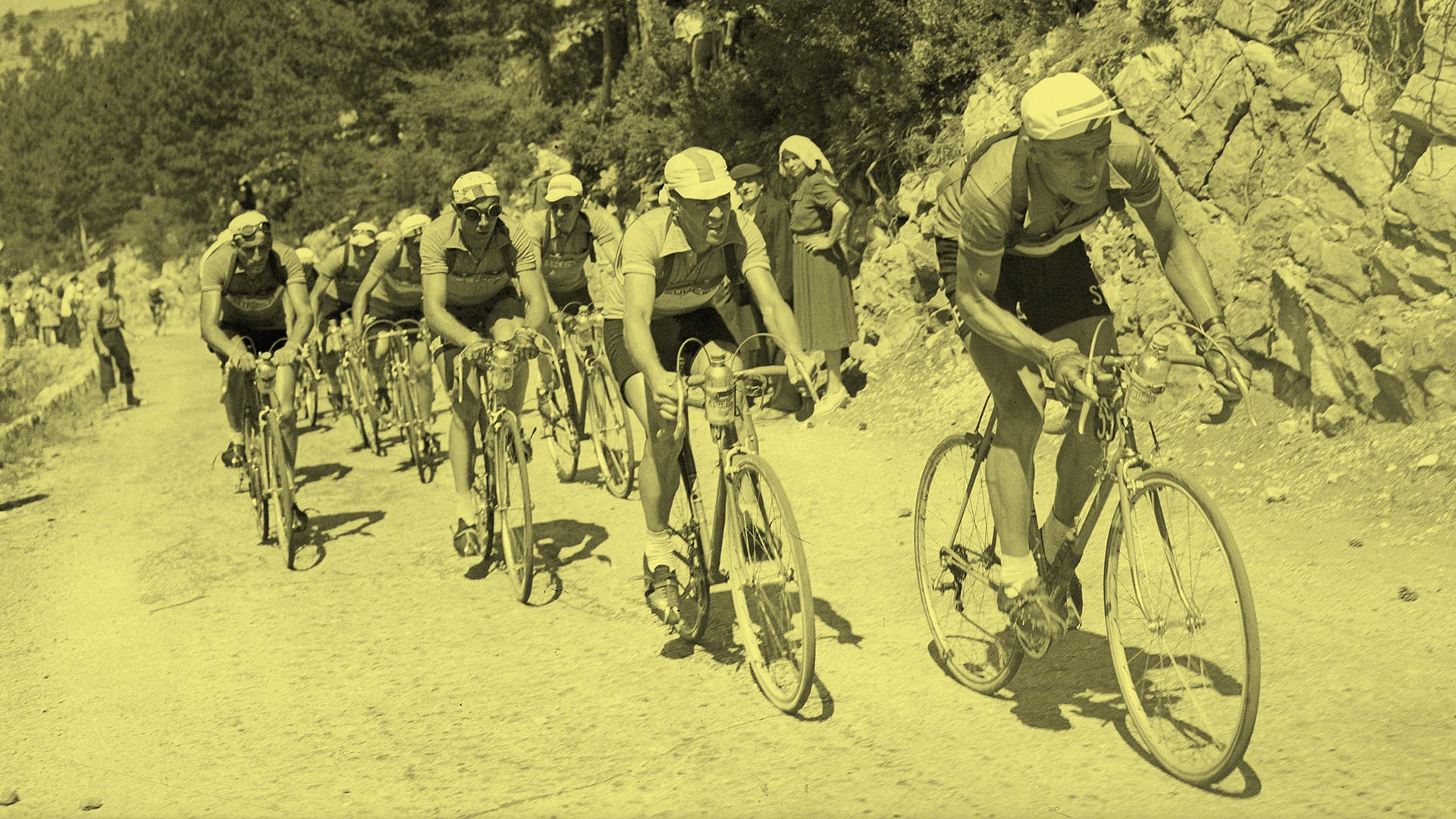 Descripción alternativa de la imagen