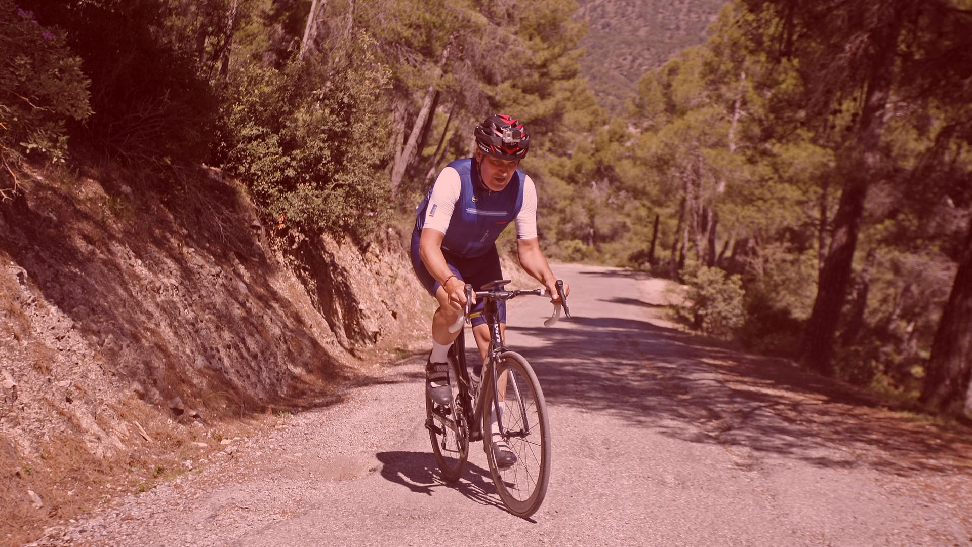 Descripción alternativa de la imagen