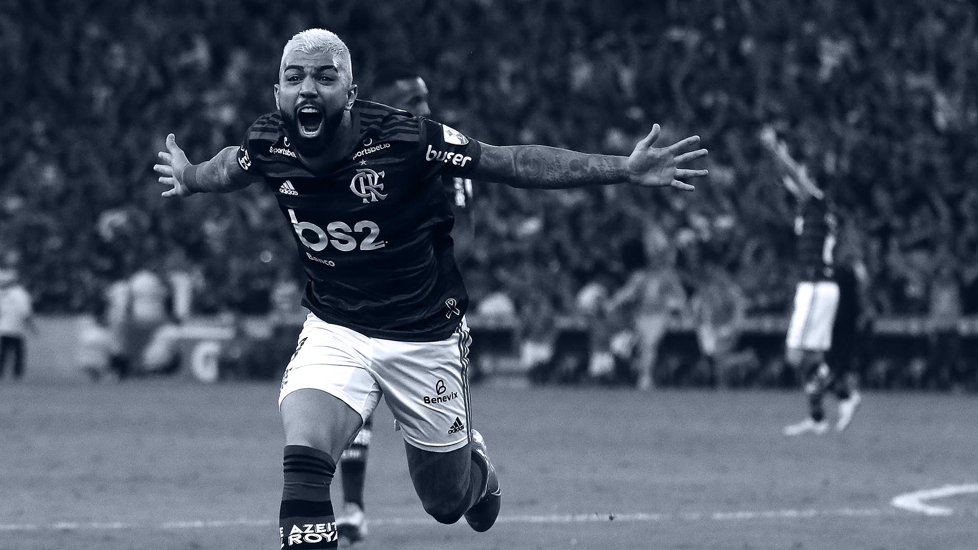 añadir descripción de la imagen