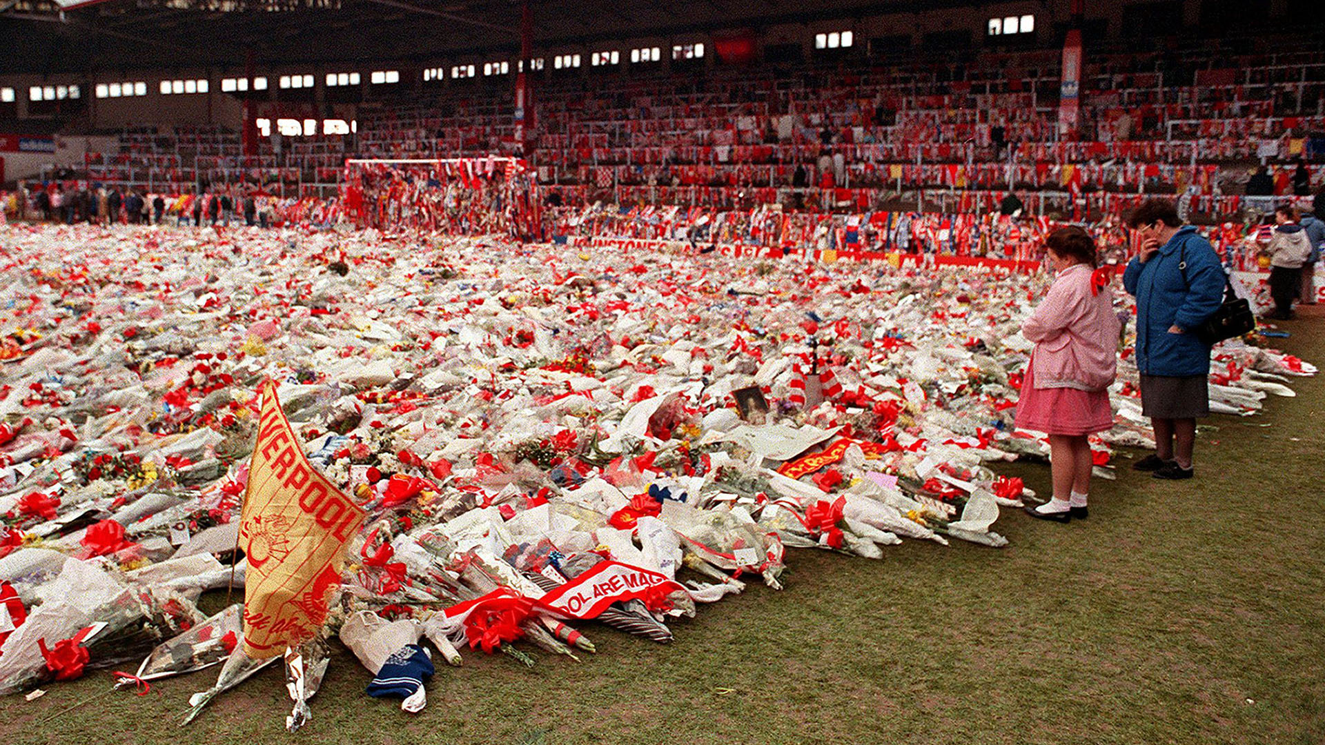 Ese 15 de abril de 1989, el Liverpool y el Nottingham Forest se enfrentaban en las semifinales de la FA Cup. El exceso de aforo en la tribuna de pie del estadio provocó una avalancha de aficionados que desembocó en pánico. Las imágenes de gente atrapada contra las vallas del estadio, agonizando, pidiendo auxilio, dieron la vuelta al mundo. Fue el caos. Fallecieron 97 personas, todas aficionadas del Liverpool. En 2012 se dedujo que la policía fue la responsable de la seguridad y culpable de la tragedia. El primer ministro por aquel entonces, David Cameron, pidió perdón en la Cámara de los Comunes.