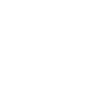 Elche Club de F¨²tbol