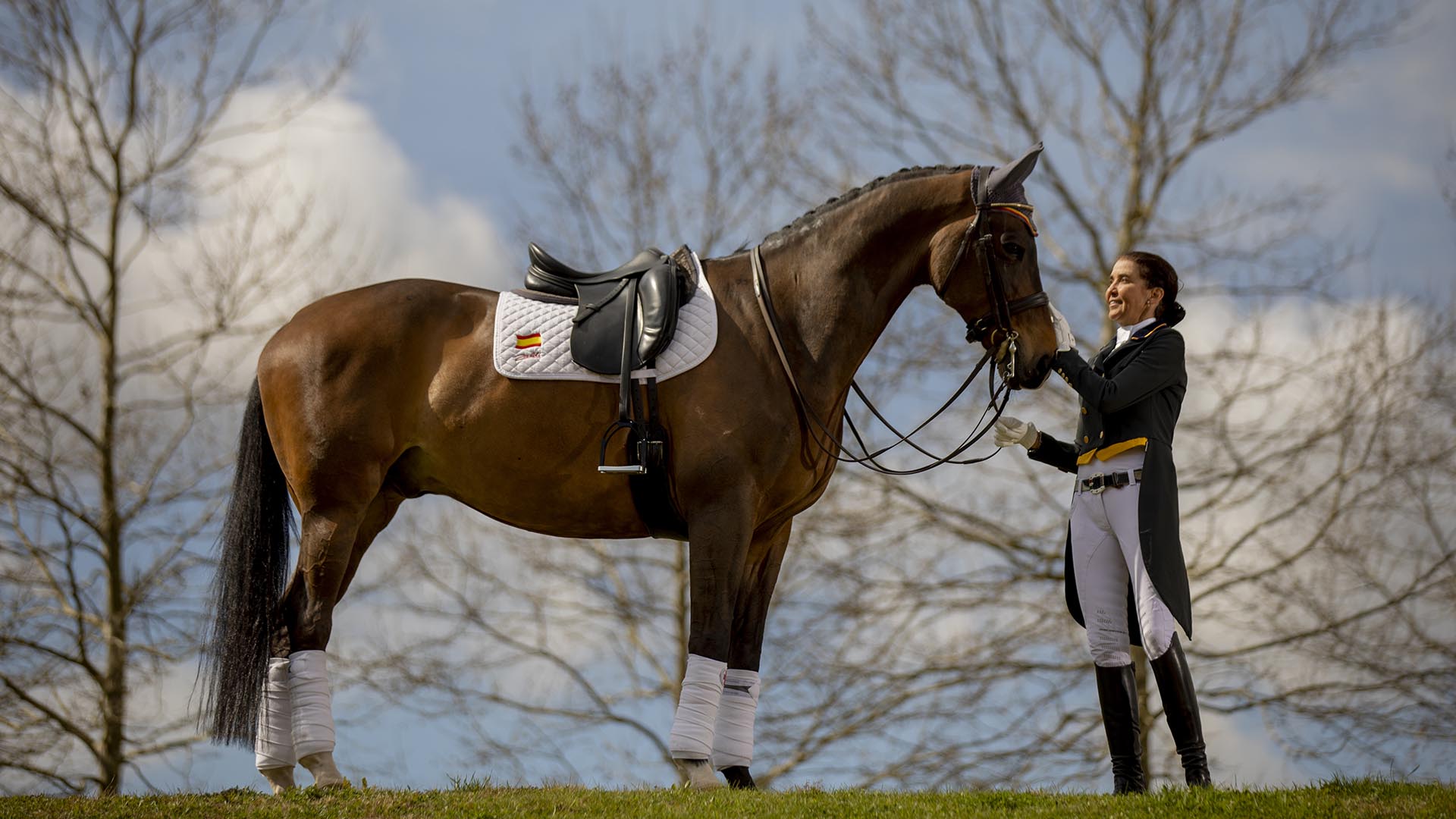 Descripción alternativa de la imagen