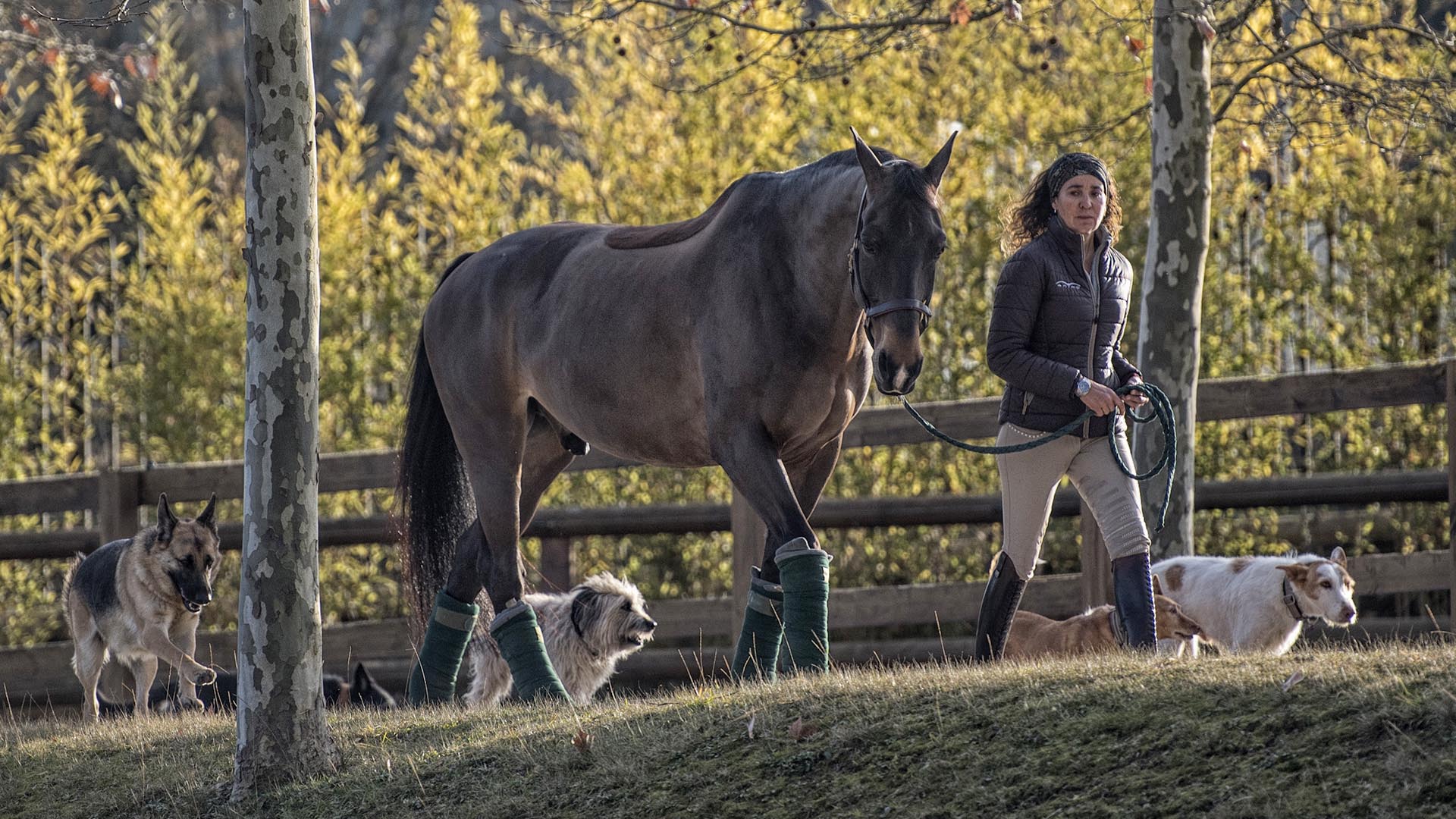 Descripción alternativa de la imagen