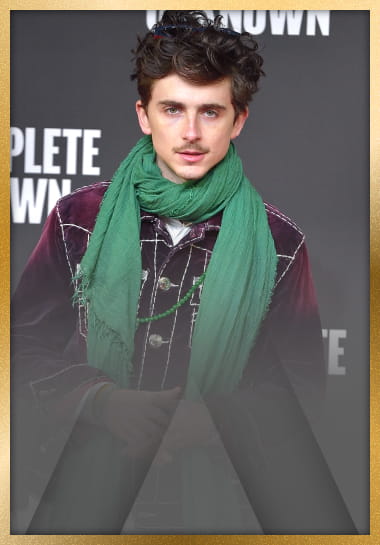 Timothe Chalamet