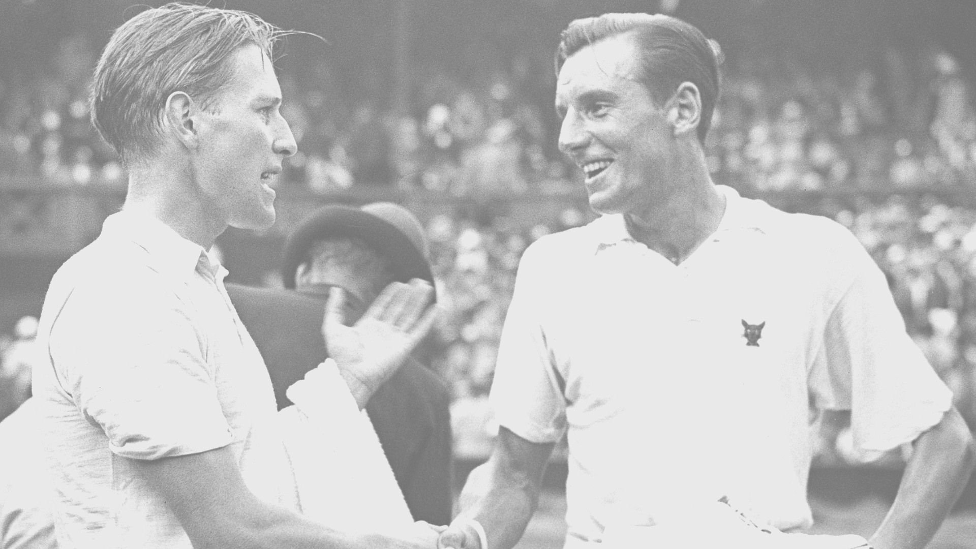 Descripción alternativa