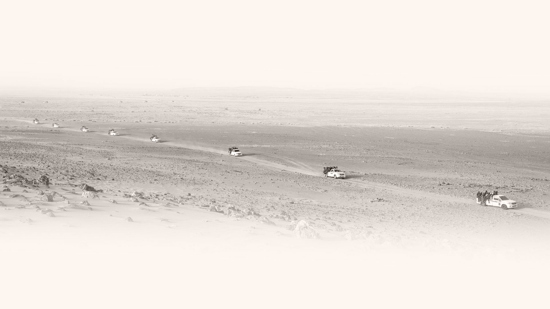 Descripción alternativa