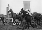 Las caídas más aparatosas del Grand National
