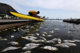 Retiradas 32 toneladas de peces muertos en las sedes olímpicas