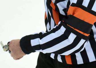 Ice hockey referee dies after being hit in the head by puck