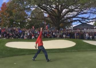 Golf heckler wins $100 by sinking putt the pros couldn't