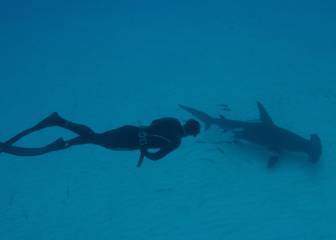 Phelps y el último desafío: ser 'el tiburón' más rápido