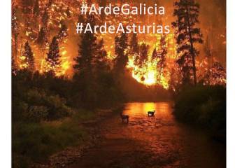 La solidaridad del mundo del deporte con los incendios de Galicia, Asturias y Portugal