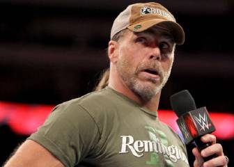 Shawn Michaels: 