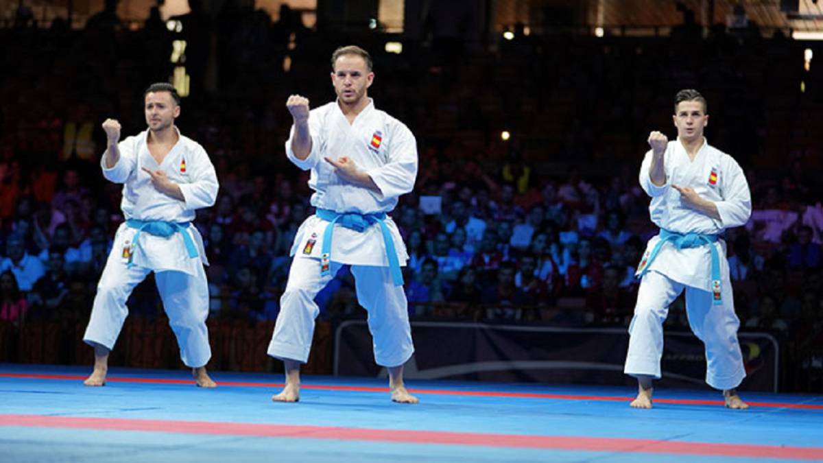 Wkf спорт дата. Karate WKF Лион. Каратэ Доминик Дудин.