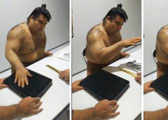 Sumo star's speed signature