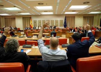 El Congreso convalida la reforma que da impulso al ADO