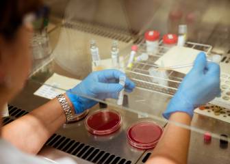 La AMA actualiza procedimientos antidopaje ante el coronavirus