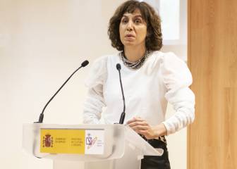 El CSD intentará dar respuesta a las necesidades del deporte en tiempos de confinamiento