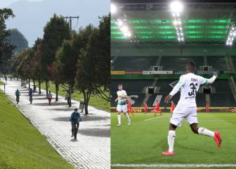 Del profesional al amateur: así será la desescalada en el deporte