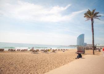 Perrone: “No se puede nadar, solo practicar surf”