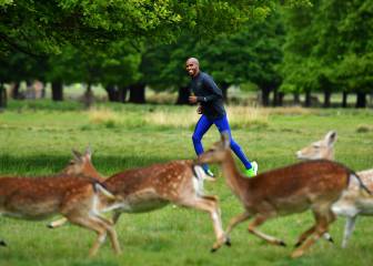 Mo Farah corre junto a los ciervos de Richmond Park