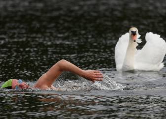 Nadando entre los cisnes en Hyde Park