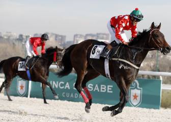 El turf vuelve el 3 de junio en San Sebastián; Madrid, a la espera