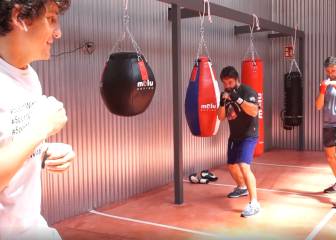 El caballo o ballesta