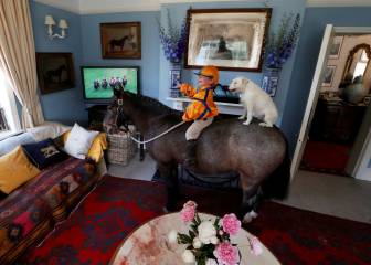 Merlin Coles III ve las carreras con su perro y su pony