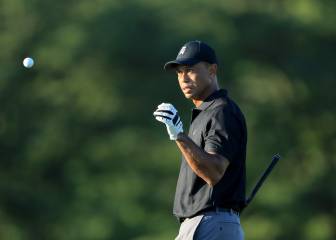 El Tigre vuelve a rugir