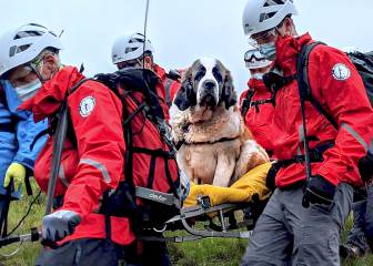 Las 'Foto Finish' del mes de julio