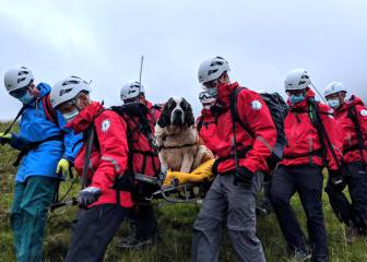 Daisy, la rescatadora rescatada