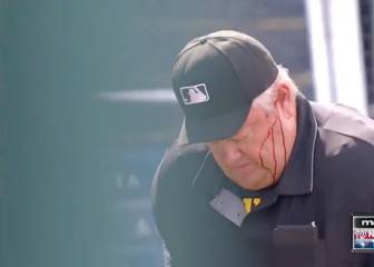 Los jugadores se asustaron al instante: vean lo que le pasó al árbitro y cómo acabó