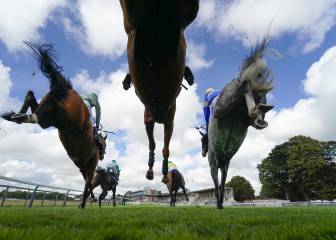 Carreras de obstáculos en el hipódromo de Fontwell Park