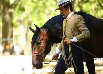 Muere el jinete de doma clásica Rubén Arrabé a los 31 años