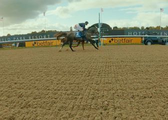 El Pulpo Paul británico y con máxima emoción sobre si ganara Biden o Trump