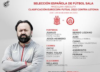 España inicia el camino hacia la Eurocopa con una lista de nivel