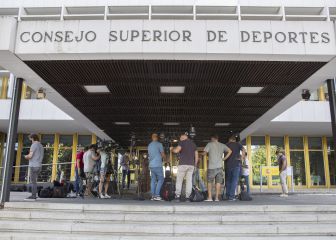 El CSD abre el plazo de consulta para las profesiones del deporte