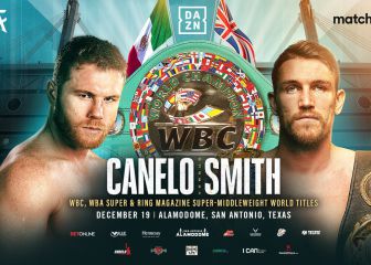 El WBC se suma al Canelo - Smith