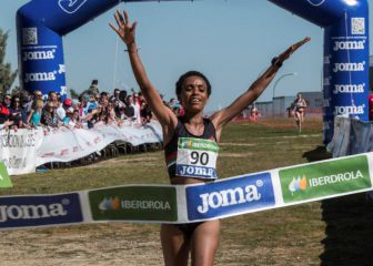 Trihas Gebre se encuentra en paradero desconocido