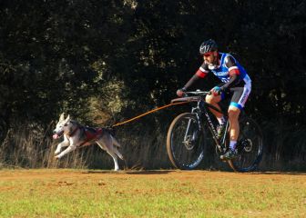 Éxito de participación en los Campeonatos de España Mushing sobre tierra