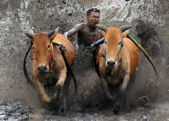 Las 'Foto Finish' del mes de marzo