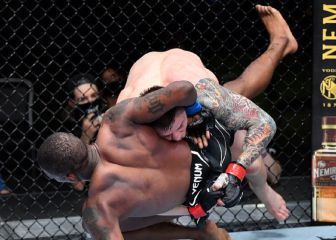 Vettori hostiga a Holland