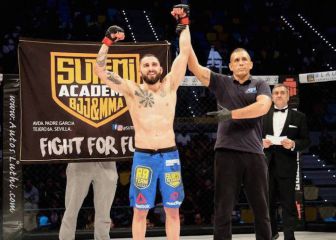 Wasabi, 939 días después