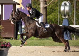 El nuevo caballo de los Sergios desata el interés en Madrid